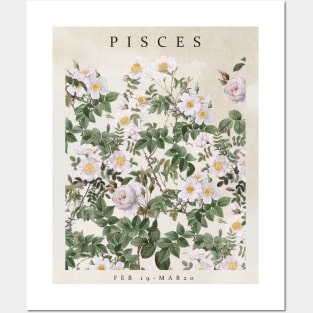 PISCES Posters and Art